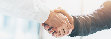 六安青松色母粒有限公司，色母粒，無紡布色母粒，丙綸色母粒，滌綸色母粒，六安青松色母粒有限公司官網